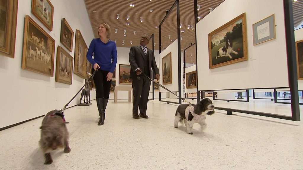 The American Kennel Club Museum of the Dog reopens in NYC ENC NEWS